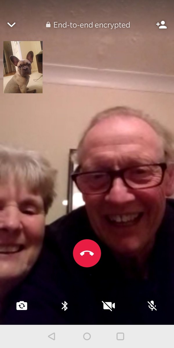 Just had some face time with Nan and Grandad. Happy Birthday Grandpops

#frenchie #frenchbulldog #frenchiepuppy #frenchieoftheday #frenchy #ilovemyfrenchie #frenchieworld