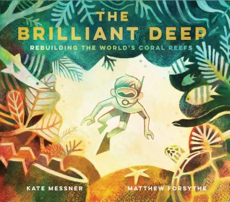 KarlinGray's tweet photo. Holiday shopping for kids who love the ocean?
Here are my #PBbiopicks for them.
🌊 📚
See more of my Favorite Picture-Book Biographies at @Bookshop_Org — where you can order from your favorite #independentbookshop
https://t.co/gwGMck1rT0 🎁 📚
#giftguide #bookgems #shoplocal https://t.co/qDfXWQA78l