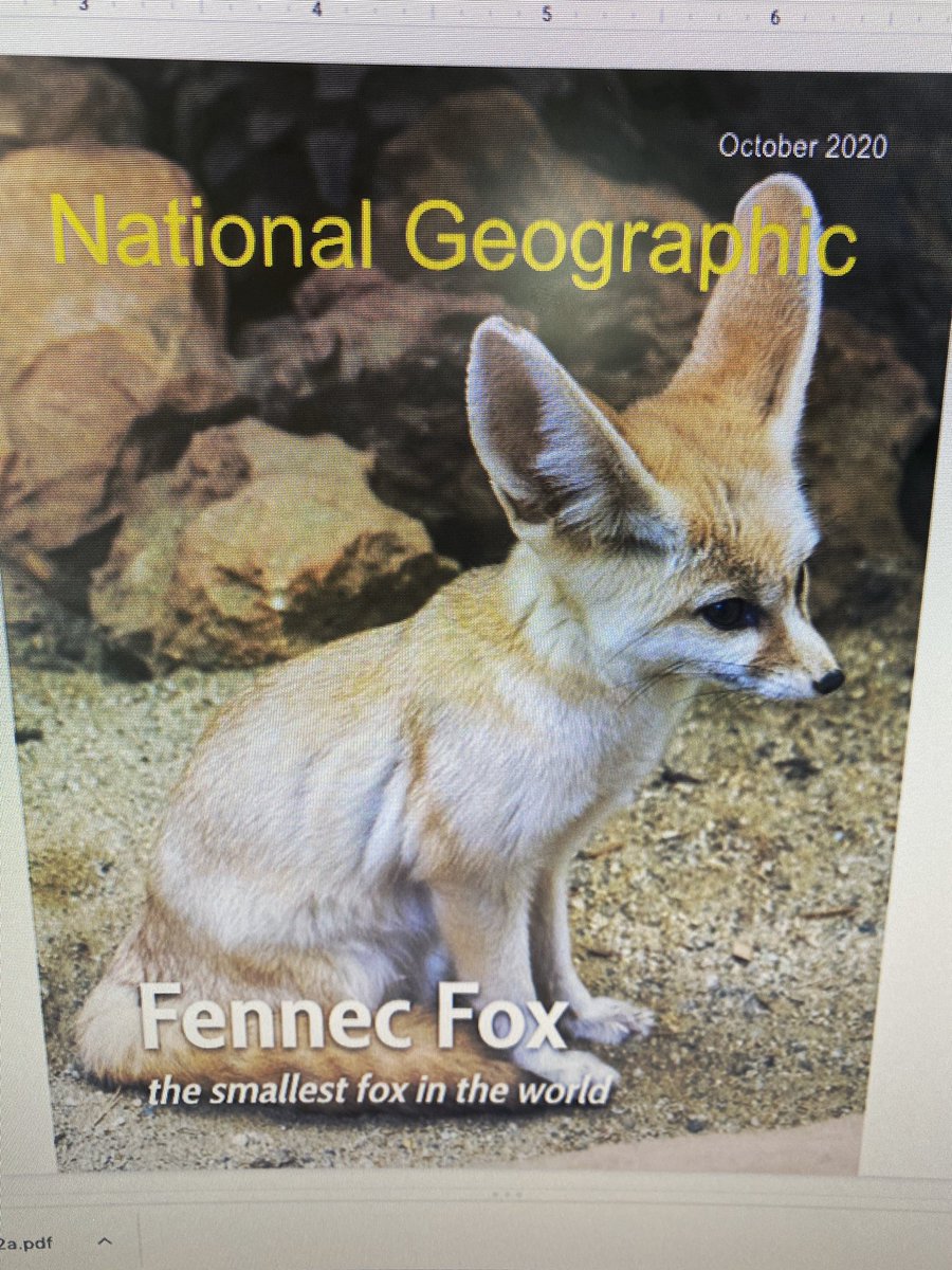 RomoSteamTeam's tweet photo. After learning about animal structures and functions @BRESBulldogs 4th graders researched one animal and created a digital National Geographic article. @Armymom2018 https://t.co/oH6w5WXzXS