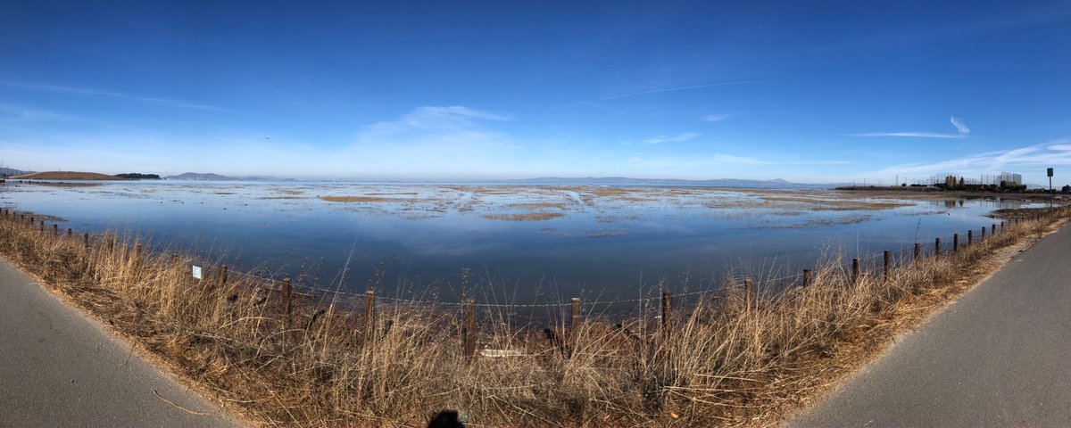 King Tides on the <a href="/SFBayTrail/">Bay Trail</a> today in <a href="/CityofSanMateo/">City of San Mateo</a>. King tides are forecast to return Dec. 13-15 and Jan. 11-12 <a href="/CA_king_tides/">California King Tides</a> <a href="/TheCACoast/">The California Coast</a>