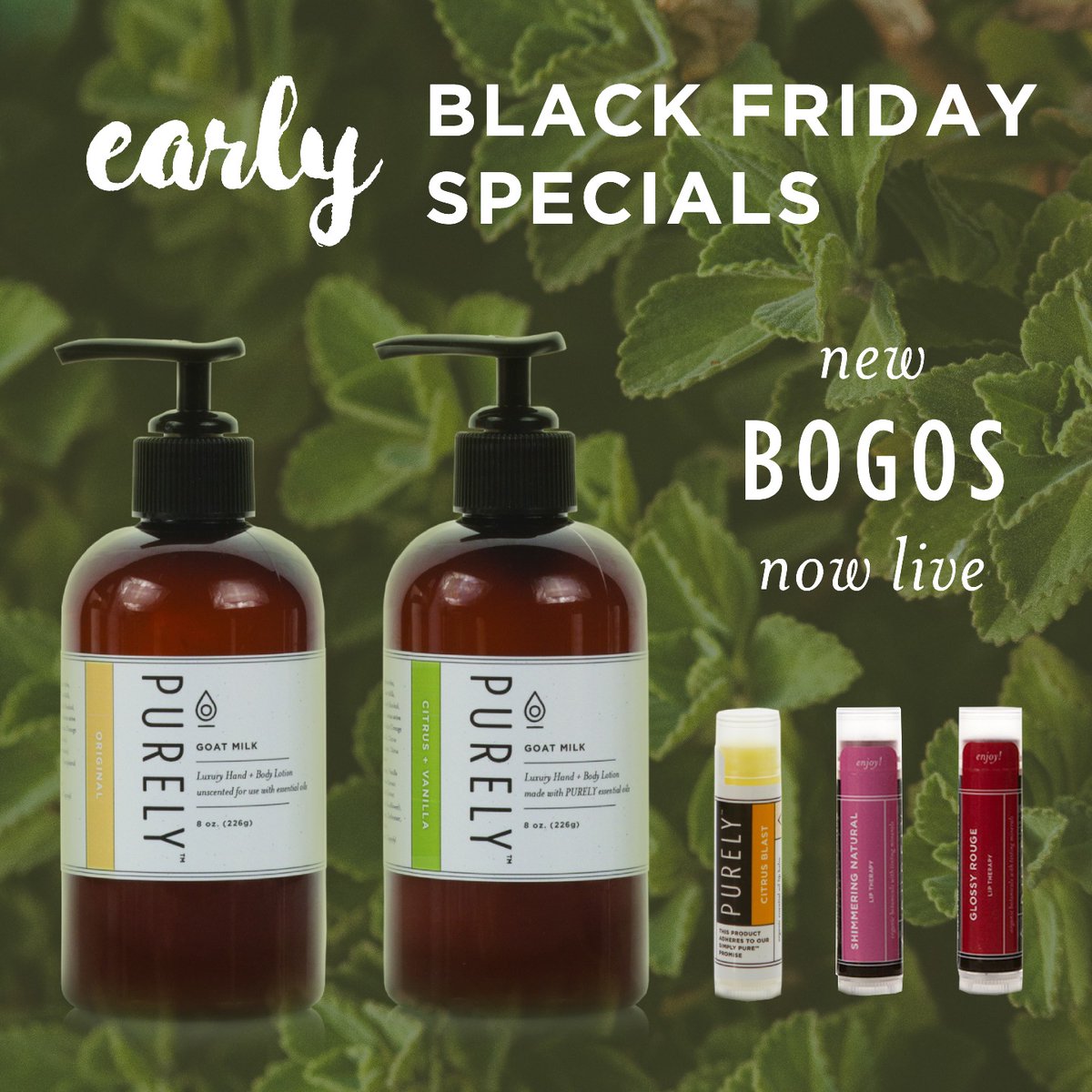 OPurely's tweet photo. A new batch of Black Friday specials just opened up! Buy One, Get One Free on lotions, lip care, and shaving supplies all this week by shopping at https://t.co/9KTst5IeBR.
🎉 🎁 🌿
#blackFriday #sale #bogo #refuse20 #livepurely Ends 11/20 with new BOGOs launching 11/21. https://t.co/9jKDuo1xb8