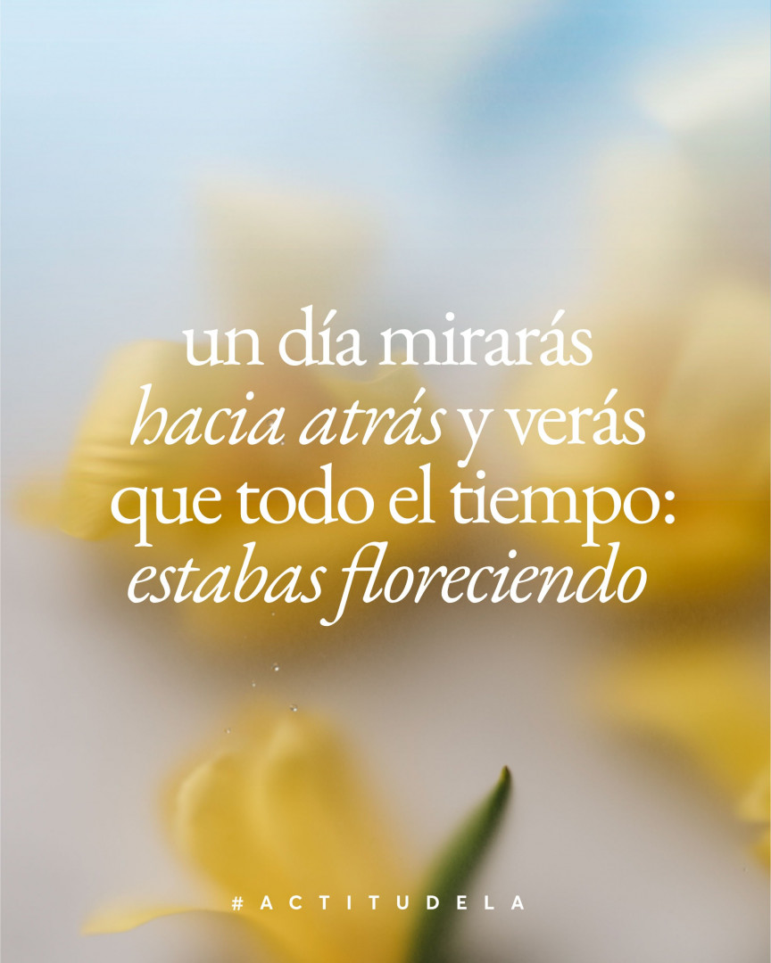 Quote of the day 💗📌Cree en ti, confía en tu proceso y pronto verás los re... instagram.com/p/CHqg_GiFh9K