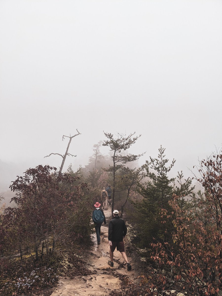 Wilson_JohnV's tweet photo. @moment Shot on the pixel 4 at the Red River Gorge. https://t.co/1R7hfhyQXc