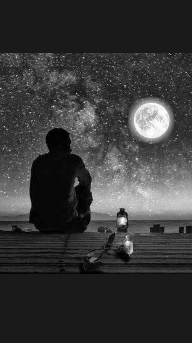 هناك صدف جميلة نلقتي فيها أشخاص.ف... تكون هذه اللحظات من اجمل اللحظات حياتنا
🌿♥️