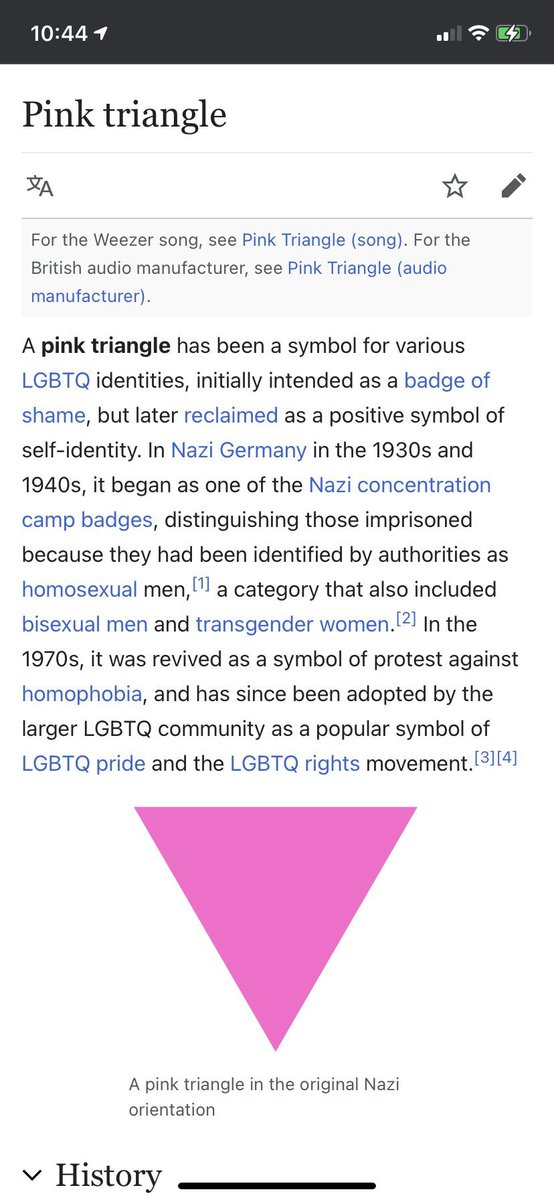 the pink triangle is a strong symbol in the lqbtq+ community. Liam wearing the triangle many times and even made an public appearance with it and adding in his music video isn’t something to ignore. Louis has done the same and no one ignored it so don’t do it with Liam to.