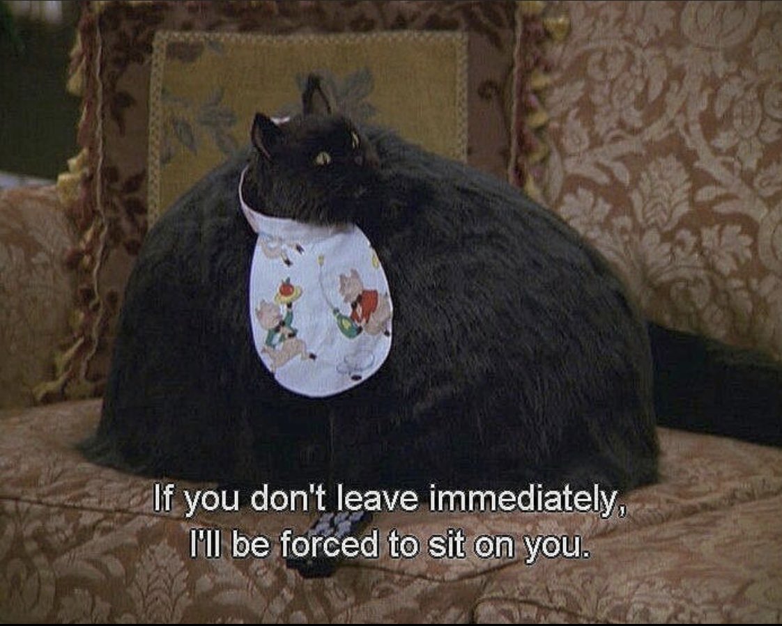 SabrinaWatch's tweet photo. Salem & my 2 year old daughter have so much in common already...
#ToddlerLife #Salem #PoorDaddy https://t.co/oilpPvVvjM
