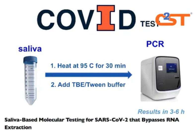C2ST's tweet image. Take a look back at "Deploying Shield" with C2ST volunteer @AdamsEditorial: buff.ly/35tYTS5
