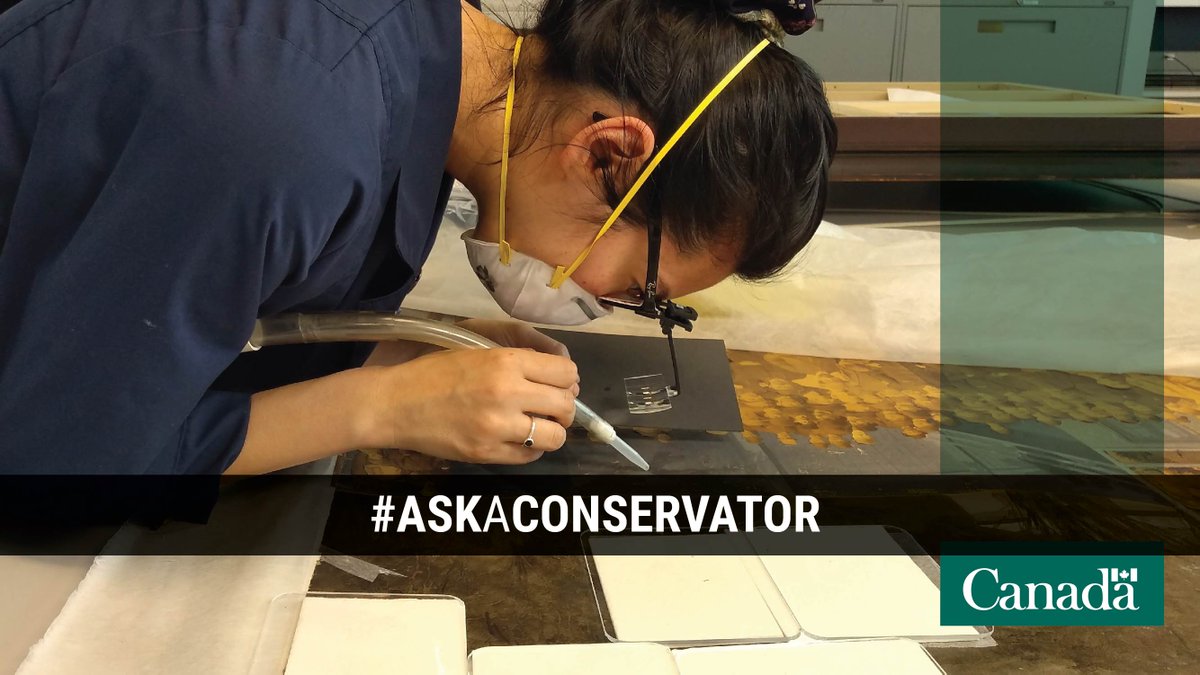 LibraryArchives's tweet photo. Curious about the impact that #COVID19 has had on the day-to-day work of our conservators? We were, so we asked our experts a few questions!
Follow #ConservationAtLAC, and get YOUR questions ready for November 18. #AskAConservator https://t.co/sE0vgMOjcu