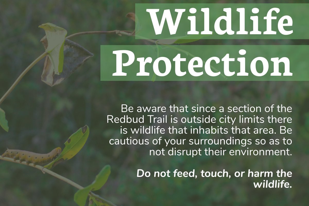 RedbudTrail's tweet photo. A portion of the Redbud Trail extends outside of city limits. Because of this, there is wildlife that inhabits the area. All wildlife should be left undisturbed in their natural environment. https://t.co/jnitiXHjDp