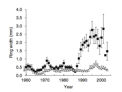 What did we learn from studying these drained fen plots? Well, not surprisingly, the trees became more productive soon after the trenches were dug into the peat. Here is a figure we published in  @NatureComms showing tree productivity (open=undrained plots; black=drained). 6/