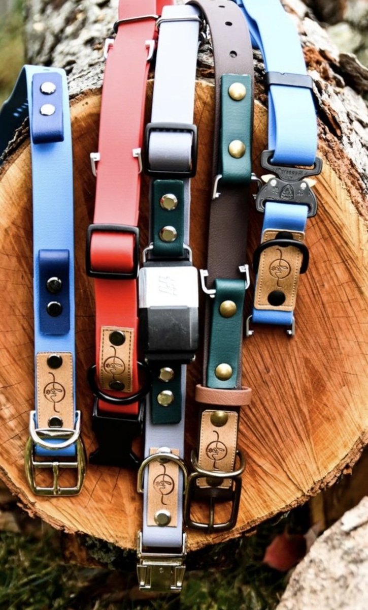 MilaNicoAva1's tweet photo. Super excited to have a discount code for these custom collars! https://t.co/Sv5nukKdVG. Use code milanicoava! #Christmas2020 #customcollars https://t.co/7ubmjrXtq7