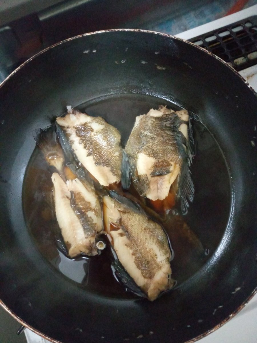 きくちけんた 紋別港で夜釣り ガヤ エゾメバル が釣れたので煮付けと塩焼きにしてみた 今日の朝ご飯です