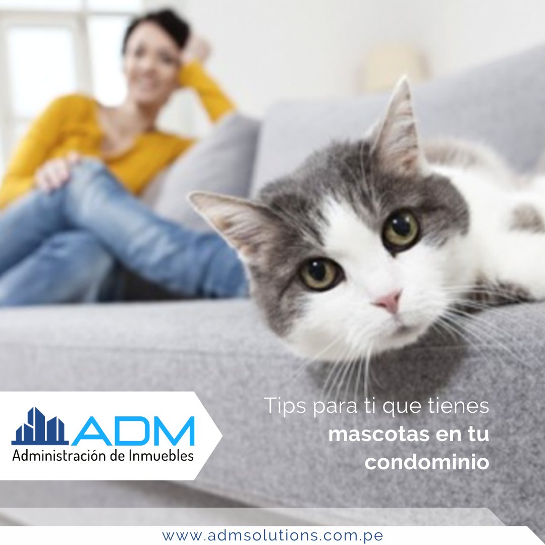 AdmSolutions_PE's tweet image. ¿Tienes una mascota en tu departamento? Evita problemas con los vecinos -&amp;gt; facebook.com/ADMSOLUTIONSPE… 
.
Contacto 👇🏻⠀
📲 949 642 040 / 925 745 013⠀
#admsolutions #administraciondeinmuebles #administraciondepropiedades #administraciondecondominios