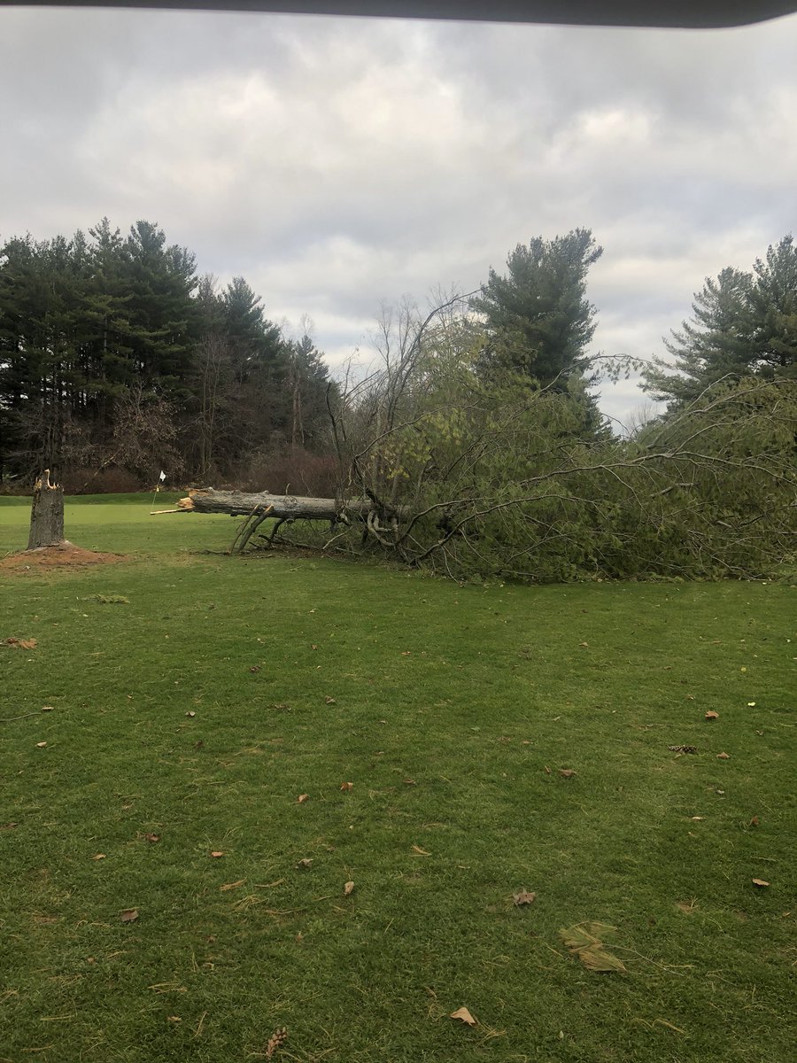 ryanarthur21's tweet photo. Several trees and leaders out of other trees down after the #ONStorm yesterday. Fire up the saw! Cleanup will take a few days @CobbleHillsGolf @STIHLUSA #ms461 https://t.co/9SOJI5bUqA