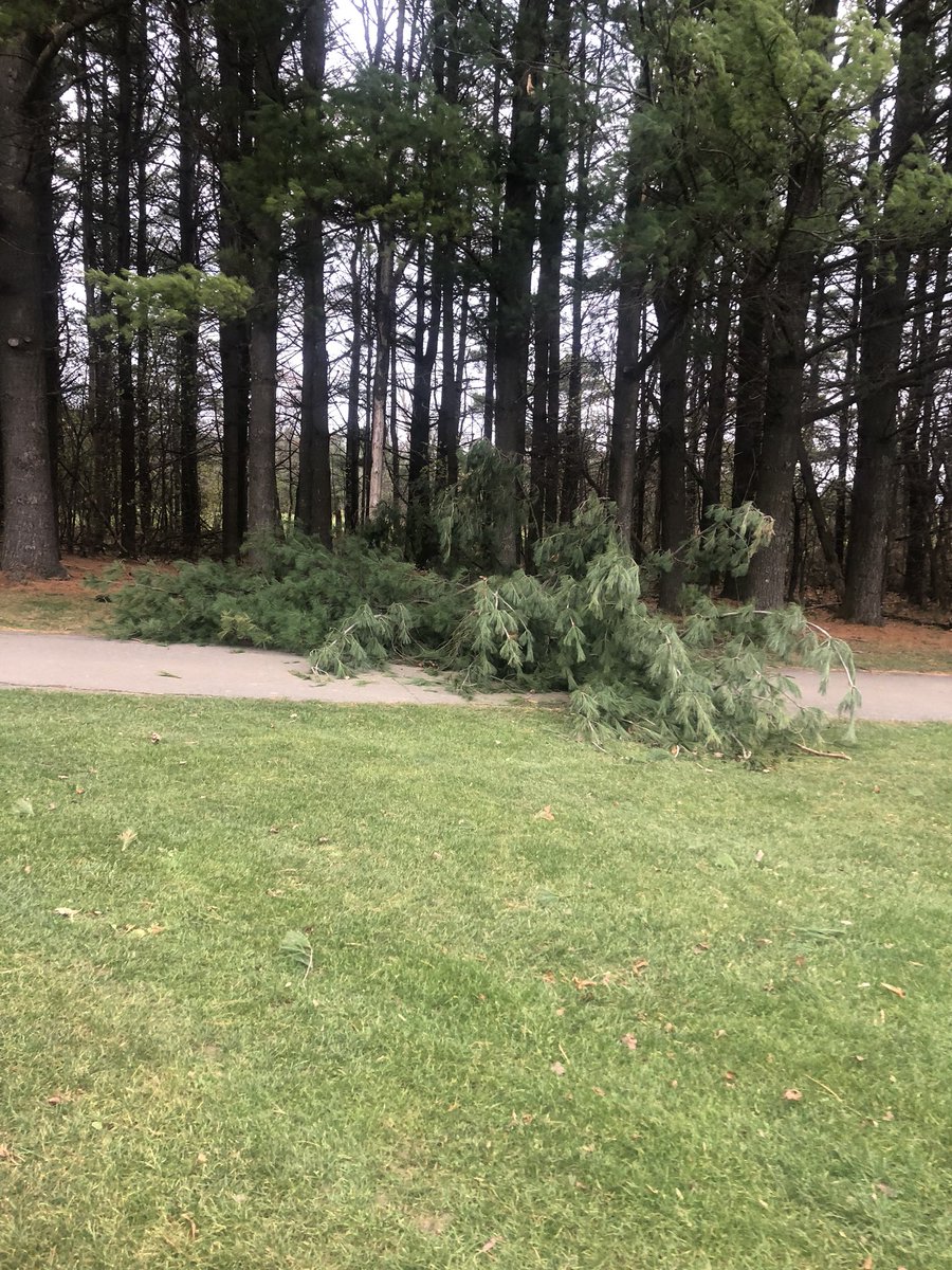 ryanarthur21's tweet photo. Several trees and leaders out of other trees down after the #ONStorm yesterday. Fire up the saw! Cleanup will take a few days @CobbleHillsGolf @STIHLUSA #ms461 https://t.co/9SOJI5bUqA