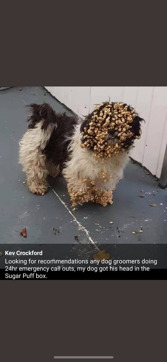 <a href="/SpotTheLoon2010/">Dave</a> Oh my that’s a look of innocence right there this one also made me giggle credit to it’s owner