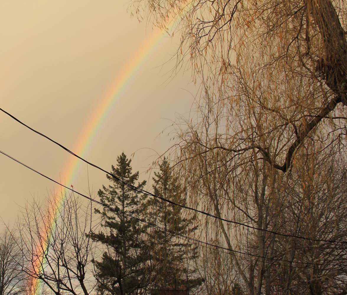 IAmPaulGraham's tweet photo. Pretty good #rainbow in Fredericton a few minutes ago. These pictures don’t actually do it justice https://t.co/OyasZ1cytt