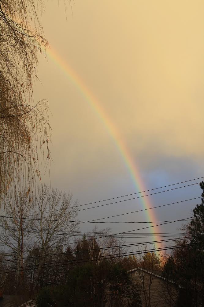 IAmPaulGraham's tweet photo. Pretty good #rainbow in Fredericton a few minutes ago. These pictures don’t actually do it justice https://t.co/OyasZ1cytt