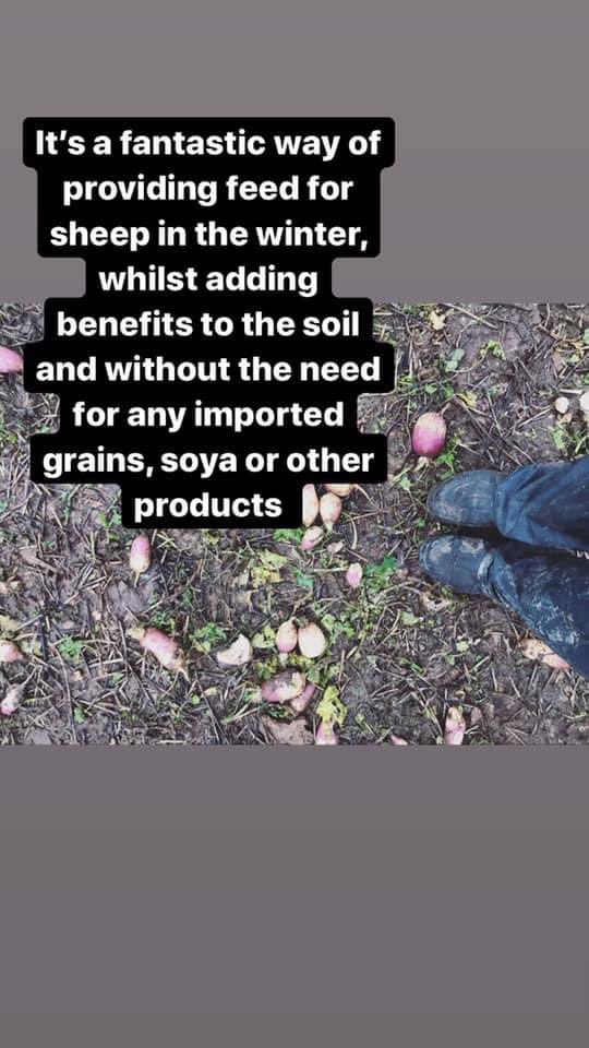 I can’t see the name of the farm but the postee is Jess who has an Instagram @jessheepdog