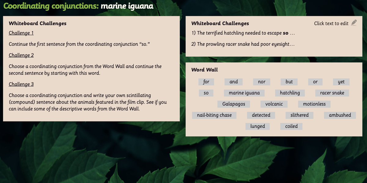 johndcotter's tweet photo. This site &amp; what @Natural_Curric are doing needs to be talked about &amp; shared more widely. Absolutely fantastic website with interesting contextual grammar lessons &amp; engaging writing stimuli inspired by nature🦎🐍

#NaturalCurriculum 

@ChrisGPackham 

https://t.co/bp5yBqBBbL https://t.co/mDLTwuBUDz
