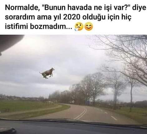 kemal ürküt (@kemal_urkut) on Twitter photo 