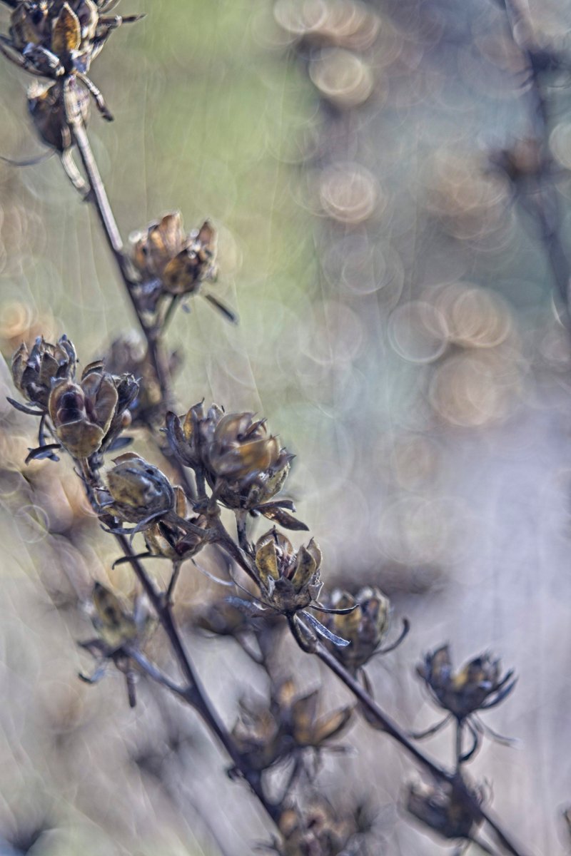 Steve Cushing Photography tweet media