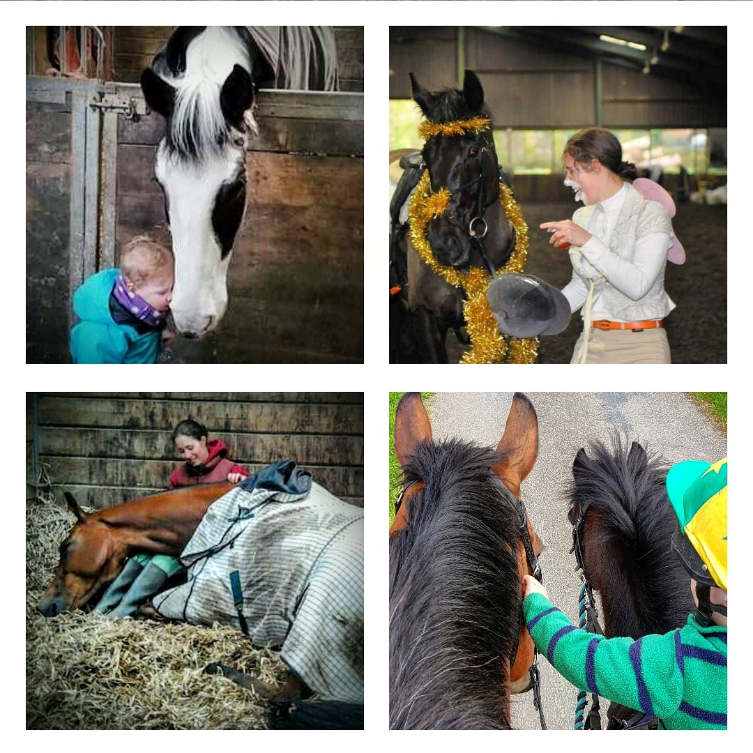 Ajmonopoly's tweet photo. World Horse Appreciation Day 🌍🐴🥰
#TeamEquus #WorldHorseAppreciationDay https://t.co/DqVQTma4Iq