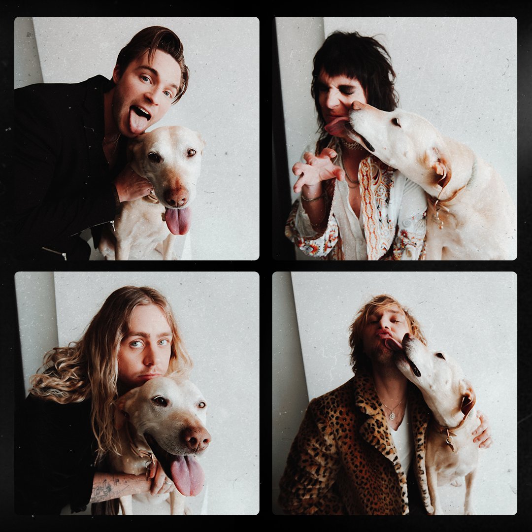 TheStruts's tweet photo. All I need is another lick 🐶 https://t.co/LZhp8Mj0qZ