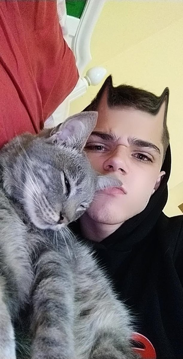 Hugo3617's tweet photo. 💘💘🐱🐱 https://t.co/KkAfk609W7