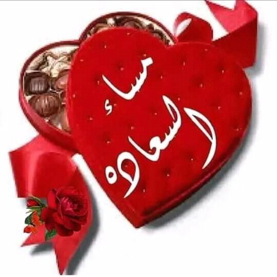 CheriMed1's tweet photo. مساء النور والسرور 

مساء السعادة https://t.co/PrvxnJybga
