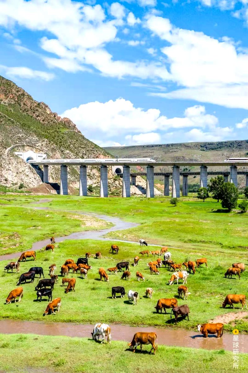 China’s high-speed railways.