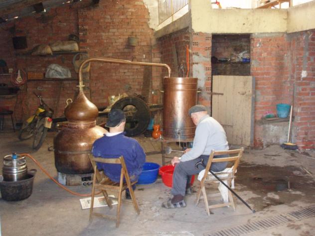 Ano 2021. Vemos aos veciños de Lugar de Souto de abaixo, Parroquia de Cuspedriñas fabricando a súa vacina con unha efectividade de 99 graos.