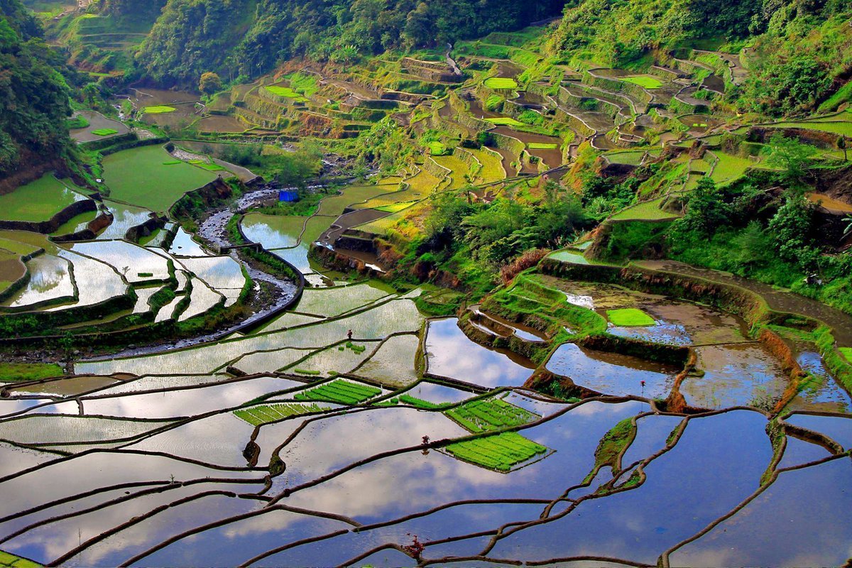 Postalesdecampo's tweet photo. Filipinas! #postalesdecampo https://t.co/9ph0b1R0Vj