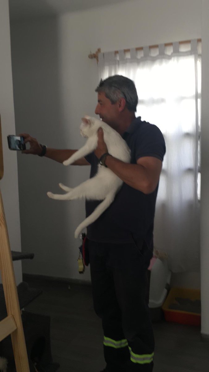 macabel4_'s tweet photo. El que vino a conectar el cable sacándole fotos a jazmín —-> me representa. https://t.co/7wha9v0ppO