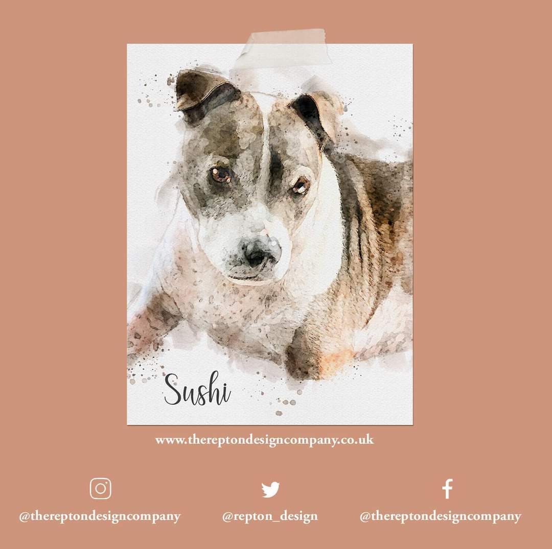 repton_design's tweet image. Sushi is looking like a little poser in her Pawtrait! Thank you so much for all your support 💕 I’m getting super busy now!
If you’re wanting a portrait for a Christmas gift please let me know ASAP so I can plan my time ☺️ even if you’re waiting until payday please message ASAP