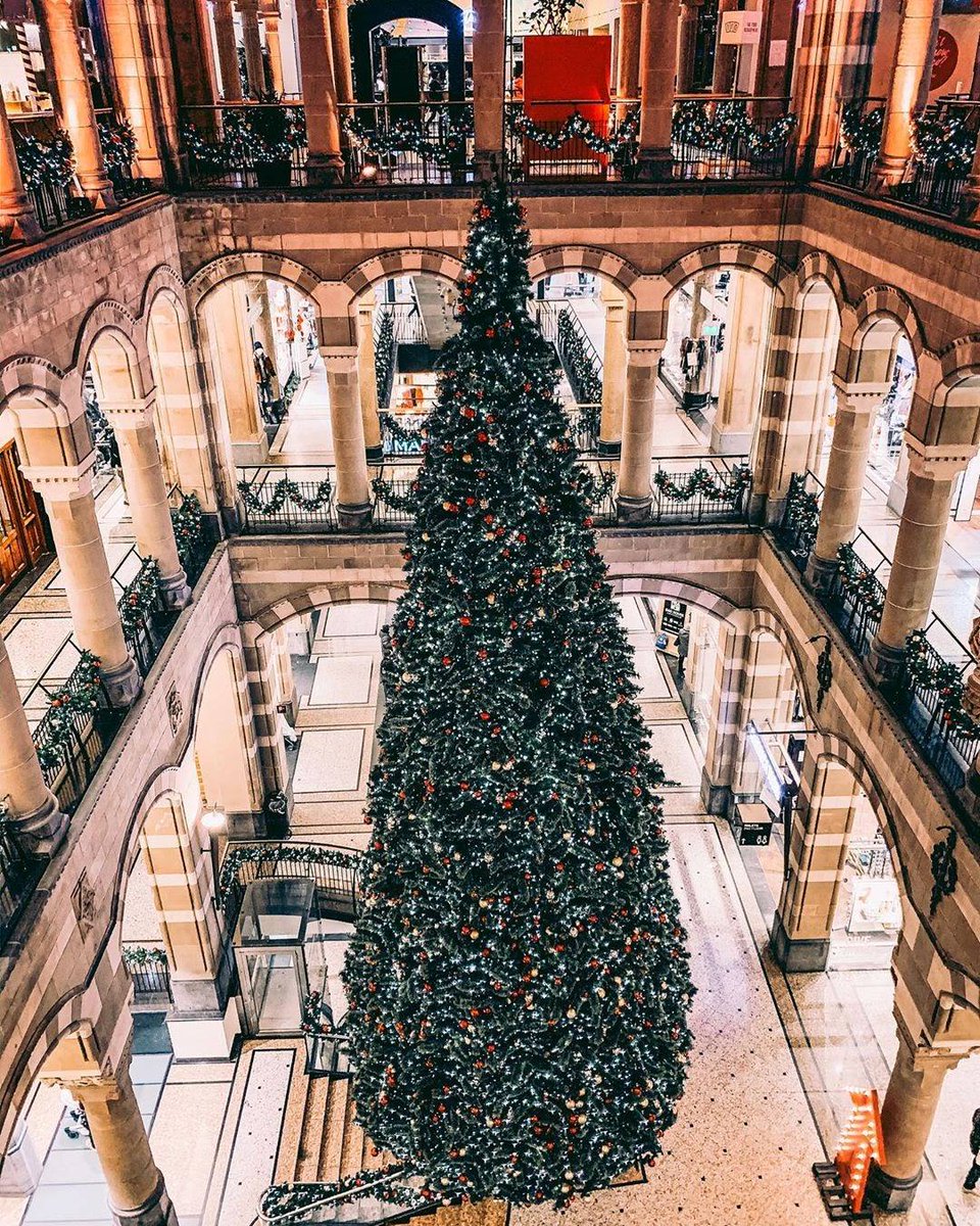 Shortwalkme's tweet photo. Looking for the best place.
In Magna Plaza Amsterdam

By The Food Department
#christmas #christmastree https://t.co/Ny3Ly1M6Jb