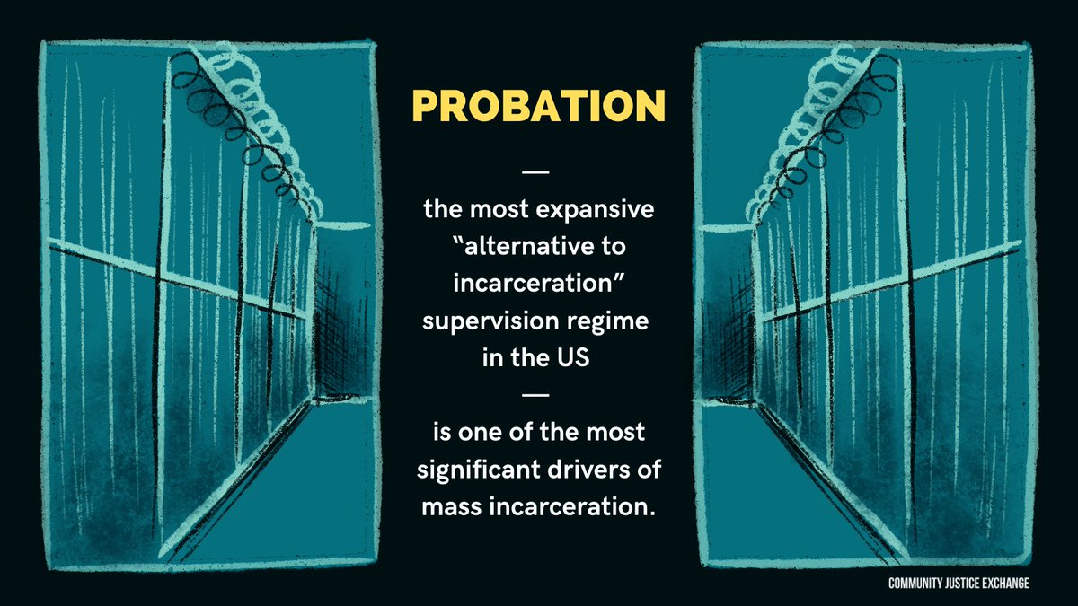 Our fight is for FREEDOM, self-determination & resources, not new forms of caging  #FreeThemAll  #NoDigitalPrisons[2/3]
