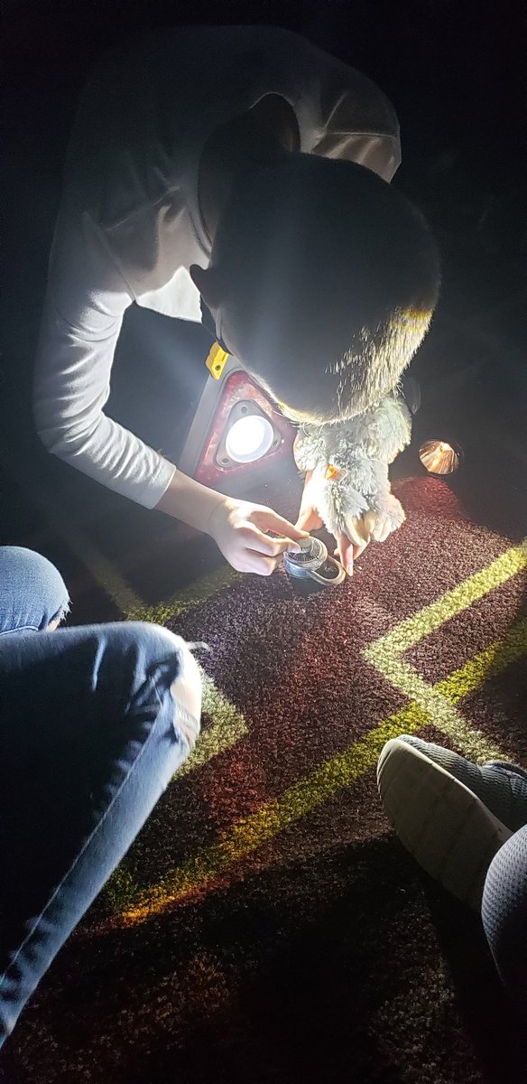 #gcbgreatstart- 2nd graders were so excited to start our light and sound unit.  Lots of exploring today!