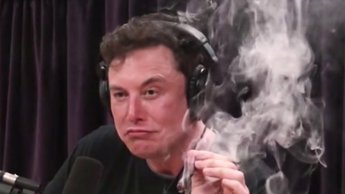 Say if you want to hear what Elon Musk has to say before there was social media.You'd have to watch sound bites from some publications that may or may not show the whole picture...Now? Twitter follow so you can watch him argue with idiots AND act like one... live.