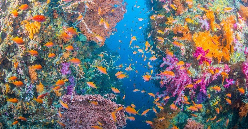 Oceanwire 🇺🇦🌻 tweet media