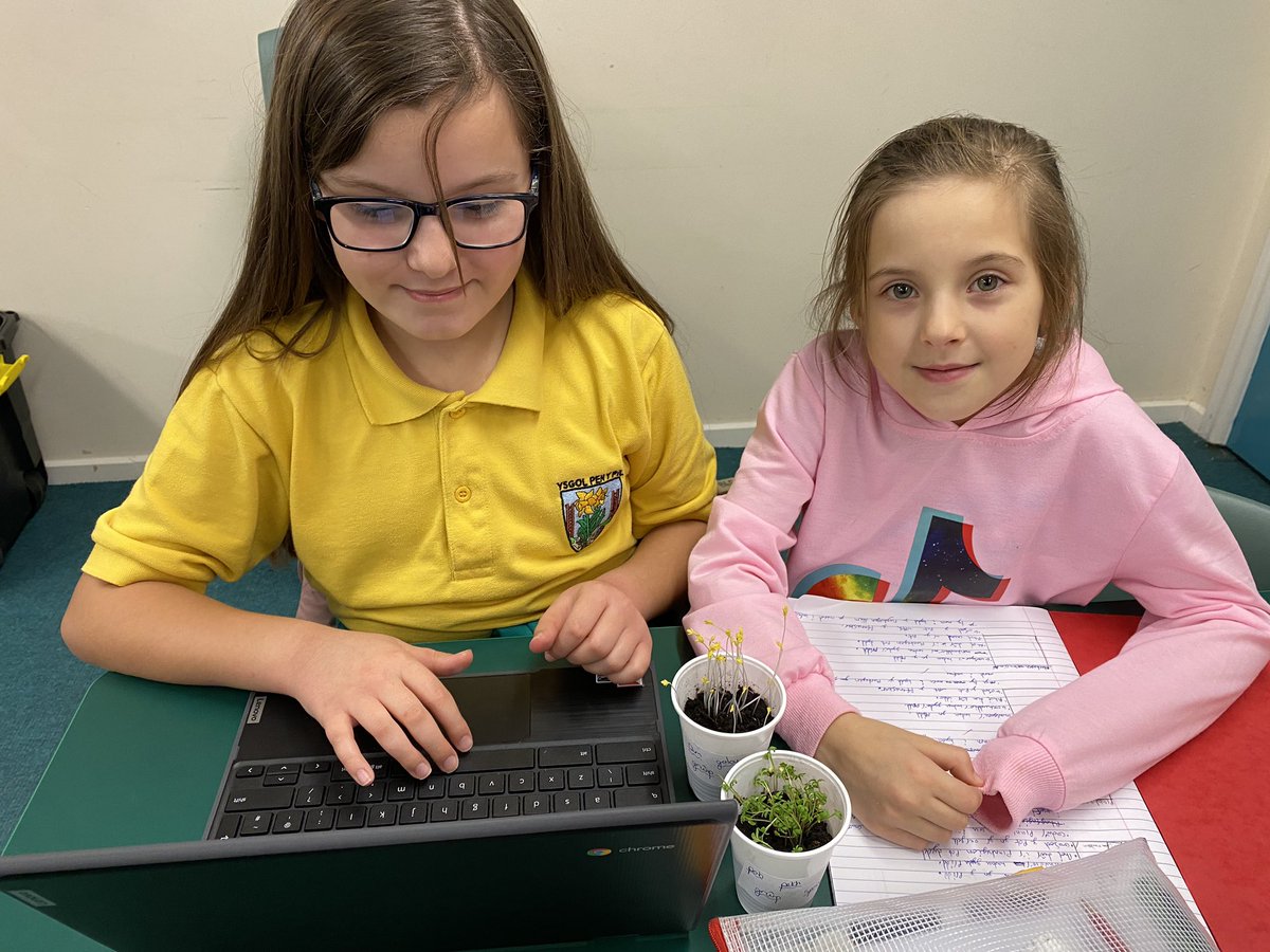 MrJames5PYP's tweet photo. Prynhawn diddorol iawn wrth edrych ac ysgrifennu am ganlyniadau ein arbrawf tyfuant planhigion! 🌱👀💻
An interesting afternoon looking at and writing about the results of our plant growth experiment! 🌱👀💻 https://t.co/lXYqFWljSq