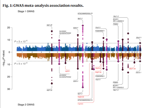 Nature Genetics tweet media