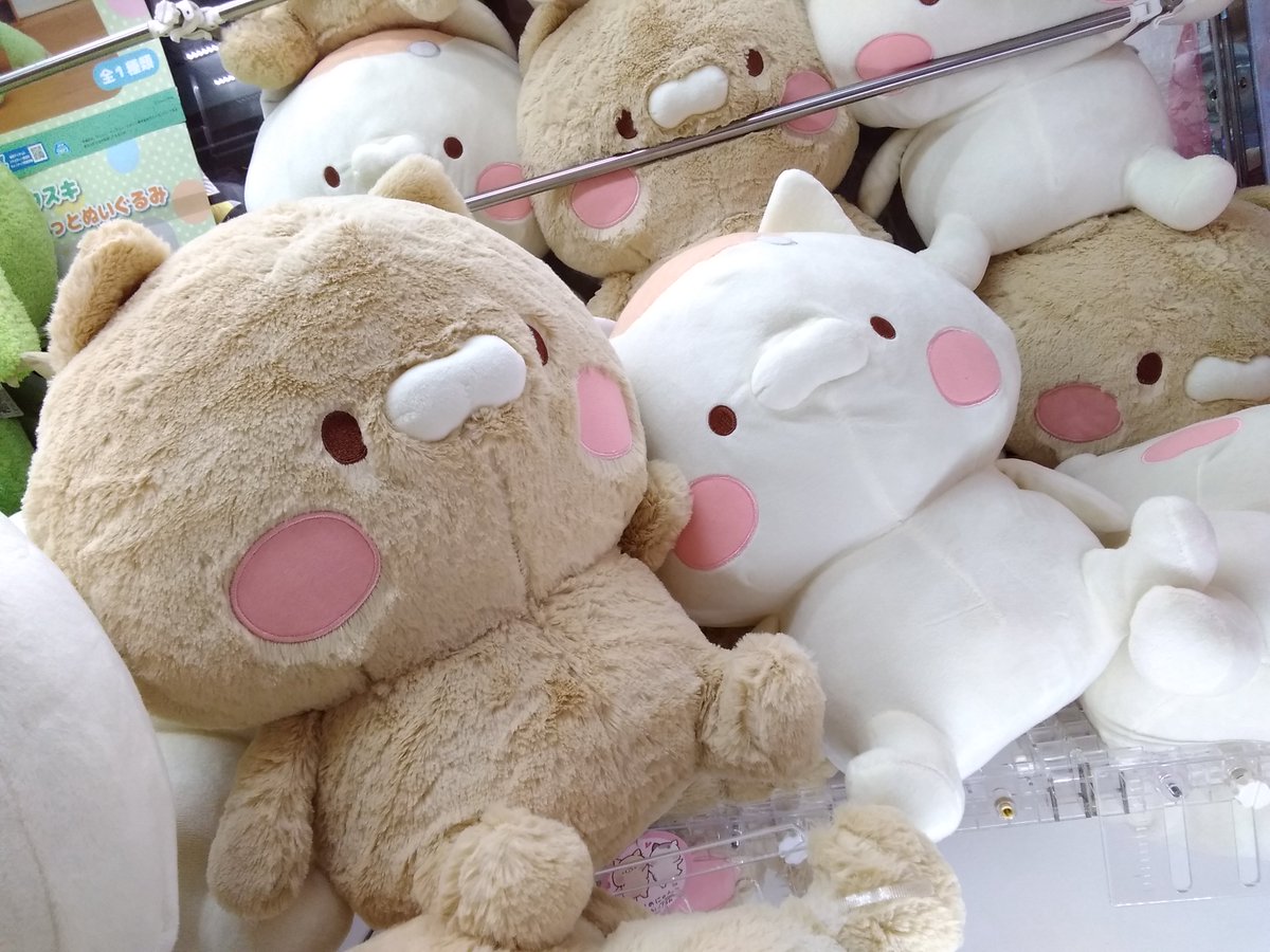 景品情報】 となりのにゃんこBIGぬいぐるみ 入荷致しました✨ LINE