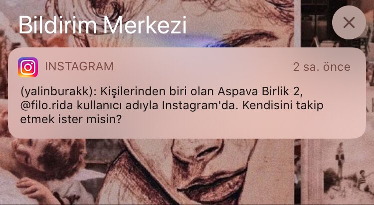 Hayaller Florida Hayatlar Birlik Aspava