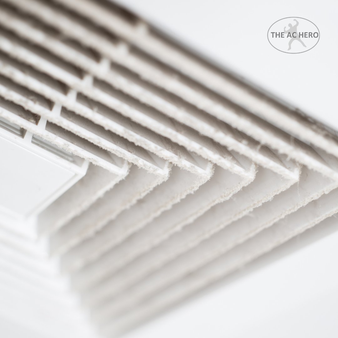 Jayme Wait tweet media