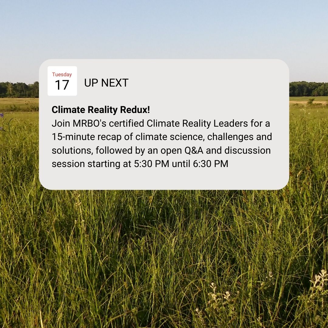 MoRiverBirdObs's tweet photo. Join us tomorrow night for our weekly webinar! #weeklywebinars #climate #climatesolutions
Register in advance here: https://t.co/tkHSUCpWAZ https://t.co/SO3c1ZWhih