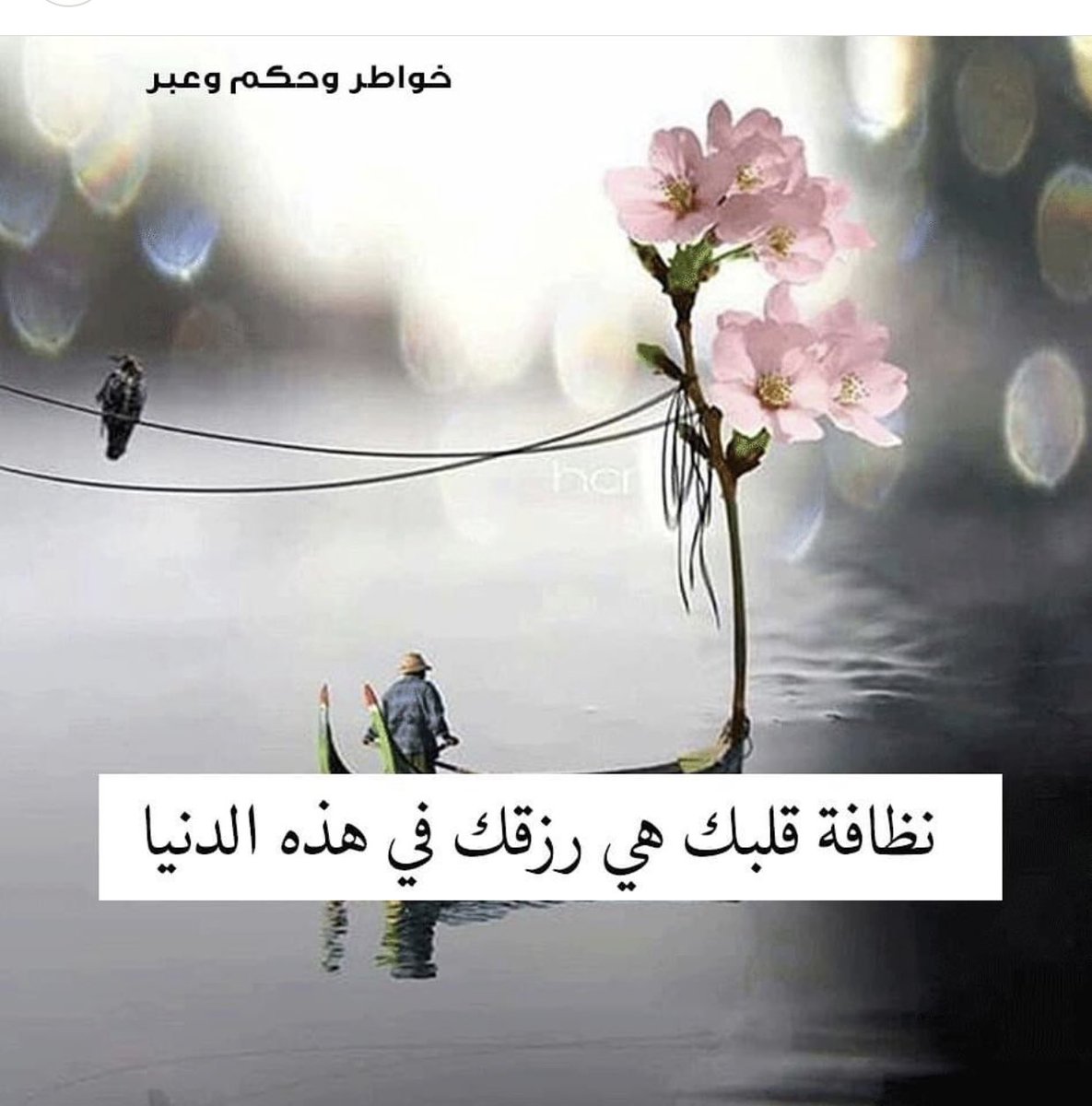 EmanAlshikh1's tweet photo. 100% It’s so true 😍 https://t.co/l4NQ5stuaW