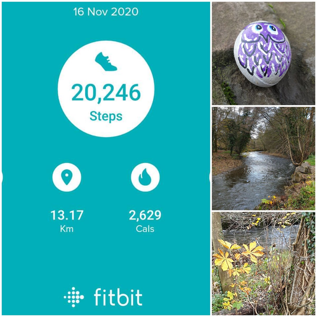 Cuckooqueen's tweet photo. Day 16 #Novemberchallenge @PancreaticCanUK #purplerocks #Torfaenrocks #pancreaticcancerawareness #forMum #forRob #forNoel πππ https://t.co/DAKmrUdKmu