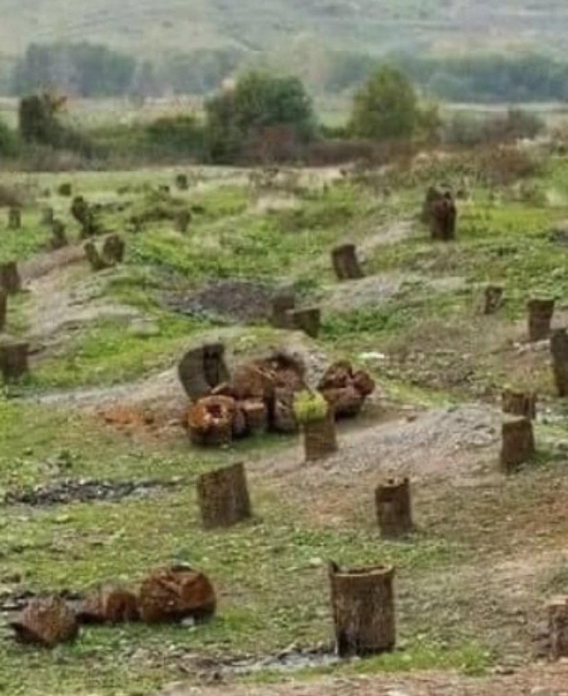 What is this if not environmental terror? These terrorists have lived in foreign lands for 30 years, and now, before leaving it, they cause severe economic damage #EcoTerrorism #ArmenianVandalism