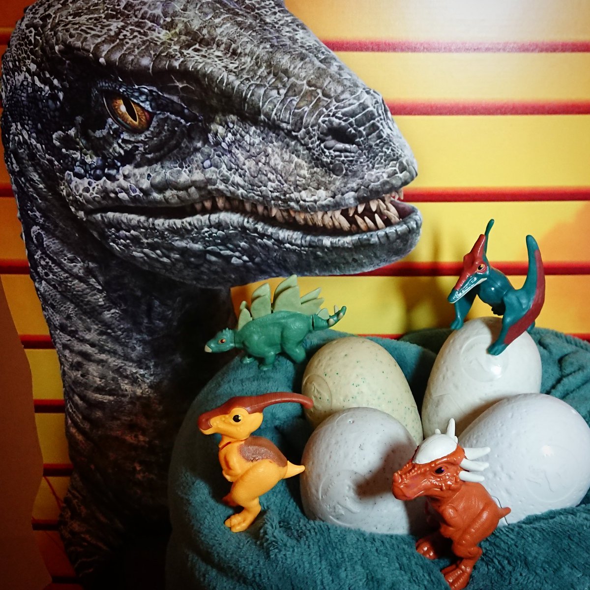 JurassicBap's tweet photo. Collection complete thanks to raptorx85 you ROCK! β€οΈ @jurassicworld @mcdonalds #JurassicWorld #TheParkIsOpen #CampCretaceous #CampIsOpen #TheCampIsOpen #JurassicPark #IslaNublar #Dinosaur #Stygimoloch #Parasaurolophus #Stegosaurus #Pteranodon https://t.co/0nHnnaELdT
